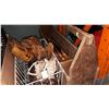 Image 1 : CARPENTERS TOOL BOX W/ SAWS, HOCKEY GLOVES, AND SKATES