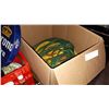 Image 1 : BOX OF LONG EXTENTION CORDS
