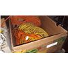 Image 1 : BOX OF LONG EXTENTION CORDS