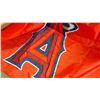 Image 2 : NEW STITCHED ANAHEIM ANGELS BANNER AND VINTAGE BALL GLOVE