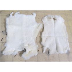 2 RABBIT PELTS