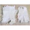 Image 1 : 2 RABBIT PELTS