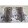Image 1 : 2 RABBIT PELTS