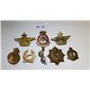 Image 1 : LOT OF 8 ARMY BADGES, *SOME RARE*