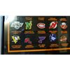 Image 3 : 1989 NHL OFFICIAL LOGO PINS *FRAMED*