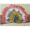 Image 4 : 2 FEATHER COWBOY HAT *FEATHER BANDS*