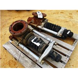 (2) CONSOLIDATE STEAM POP OFF VALVE (B-9)