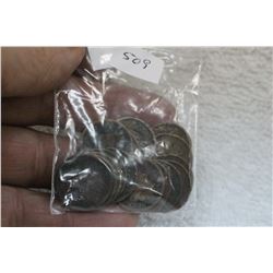 U.S.A. Indian Head Pennies