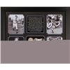 Image 1 : PSA Certified Roy Campanella Framed Autographed Baseball Collage