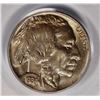 Image 2 : 1934 BUFFALO NICKEL PCGS MS65 1934 BUFFALO NICKEL PCGS MS65. GREEN LABEL. THIS COIN HAS TO BE MS 66.