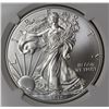 Image 2 : 2015-W AMERICAN SILVER EAGLE NGC MS 70 2015-W AMERICAN SILVER EAGLE NGC MS 70. EARLY RELEASE. ESTIMA