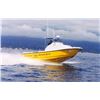 Image 8 : 2000 Radon 22" Boat -Former Honolulu Fire Dept Rescue 2 (Built By Don Radon)