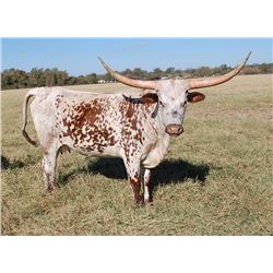 KETTLE'S SMOKIN' ROSE