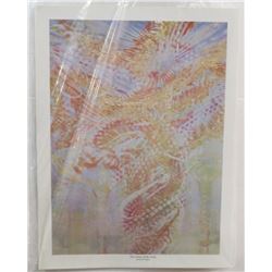 93) "THE CEILING OF MY STUDIO" MICHAEL R. WHIPPLE