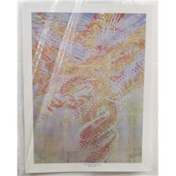 44) "THE CEILING OF MY STUDIO" MICHAEL R. WHIPPLE