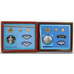 ROYAL CANADIAN AIR FORCE DISPLAY