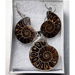 9)   NATURAL AMMONITE FOSSIL SPECIMEN