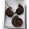 Image 1 : 9)   NATURAL AMMONITE FOSSIL SPECIMEN