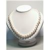 Image 4 : 7) STERLING SILVER FRESHWATER PEARL NECKLACE