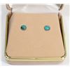 Image 1 : 55) STERLING SILVER TURQUOISE EARRINGS