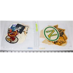 LOT OF 15 VINTAGE CRESTS AND PATCHES FROM 1970S