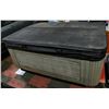 Image 11 : 13 JET HOT TUB, 2 SEATS 2 LOUNGERS, LOW PROFILE,