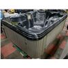 Image 1 : 13 JET HOT TUB, 2 SEATS 2 LOUNGERS, LOW PROFILE,