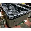 Image 2 : 13 JET HOT TUB, 2 SEATS 2 LOUNGERS, LOW PROFILE,