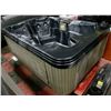 Image 4 : 13 JET HOT TUB, 2 SEATS 2 LOUNGERS, LOW PROFILE,