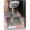 Image 1 : CD 11 COMMERICAL SCALE