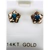 Image 1 : 28) 14K YELLOW GOLD BLUE DIAMOND EARRINGS