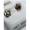 Image 2 : 28) 14K YELLOW GOLD BLUE DIAMOND EARRINGS