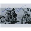 Image 1 : Easy Rider