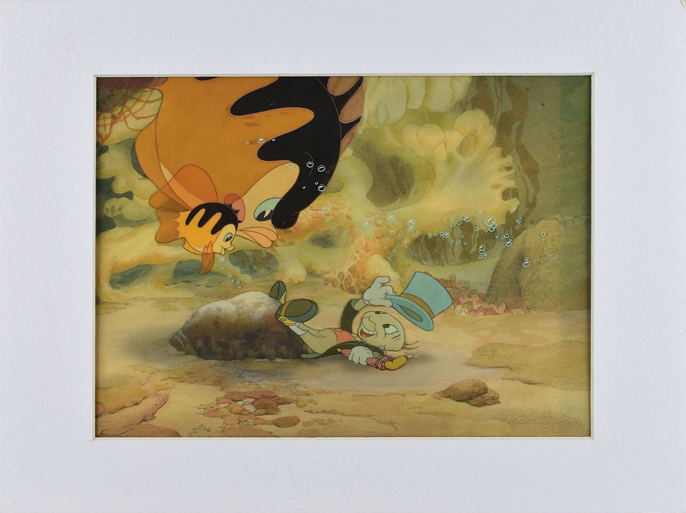 Pinco Fish Pinocchio Fish