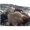Image 3 : New Zealand Custom Outfitters Tuhr Hunt