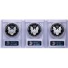 Image 2 : Lot of 2010-W to 2012-W $1 American Silver Eagle Proof Coins PCGS PR69DCAM