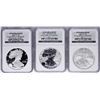 Image 1 : 2006 W 20th Anniversary Silver American Eagle Dollar Set NGC MS69/PF69/PF69