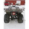 Image 3 : 1992 TIMBERWOLF QUAD, AS IS