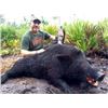 Image 2 : FLORIDA – 1.5 DAY WILD BOAR HUNT WITH BAY DOGS FOR 4 HUNTERS