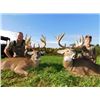 Image 3 : OHIO - THREE DAY ESTATE TROPHY WHITETAIL HUNT FOR TWO HUNTERS