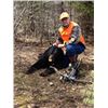 Image 1 : ONTARIO - 5 DAY BLACK BEAR HUNT AND FISHING COMBO FOR 1 HUNTER