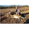 Image 3 : KANSAS - 5 DAYS/6 NIGHTS TROPHY WHITETAIL DEER HUNT FOR ONE HUNTER