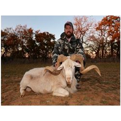 ARGENTINA - SEVEN DAY SAFARI HUNT FOR 2 HUNTERS