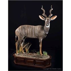 $500 GIFT CERTIFICATE FOR TAXIDERMY/CUSTOM WOOD WORK