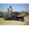 Image 3 : SOUTH AFRICA - 7 DAY CAPE BUFFALO RIFLE HUNT FOR 1 HUNTER