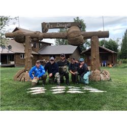 ALASKA - FLY IN GUIDED SALMON FISHING TRIP FOR ONE ANGLER