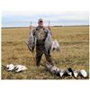 Image 1 : TEXAS - 3 DAY GAME BIRD HUNT OF VARIOUS SPECIES FOR 2 HUNTERS