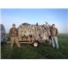 Image 2 : TEXAS - 3 DAY GAME BIRD HUNT OF VARIOUS SPECIES FOR 2 HUNTERS