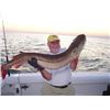 Image 1 : MICHIGAN - 10 HOUR MUSKIE FISHING CHARTER FOR 2 ANGLERS