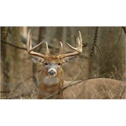 MICHIGAN - 4 DAY MANAGEMENT DEER HUNT FOR 1 HUNTER & 1 OBSERVER